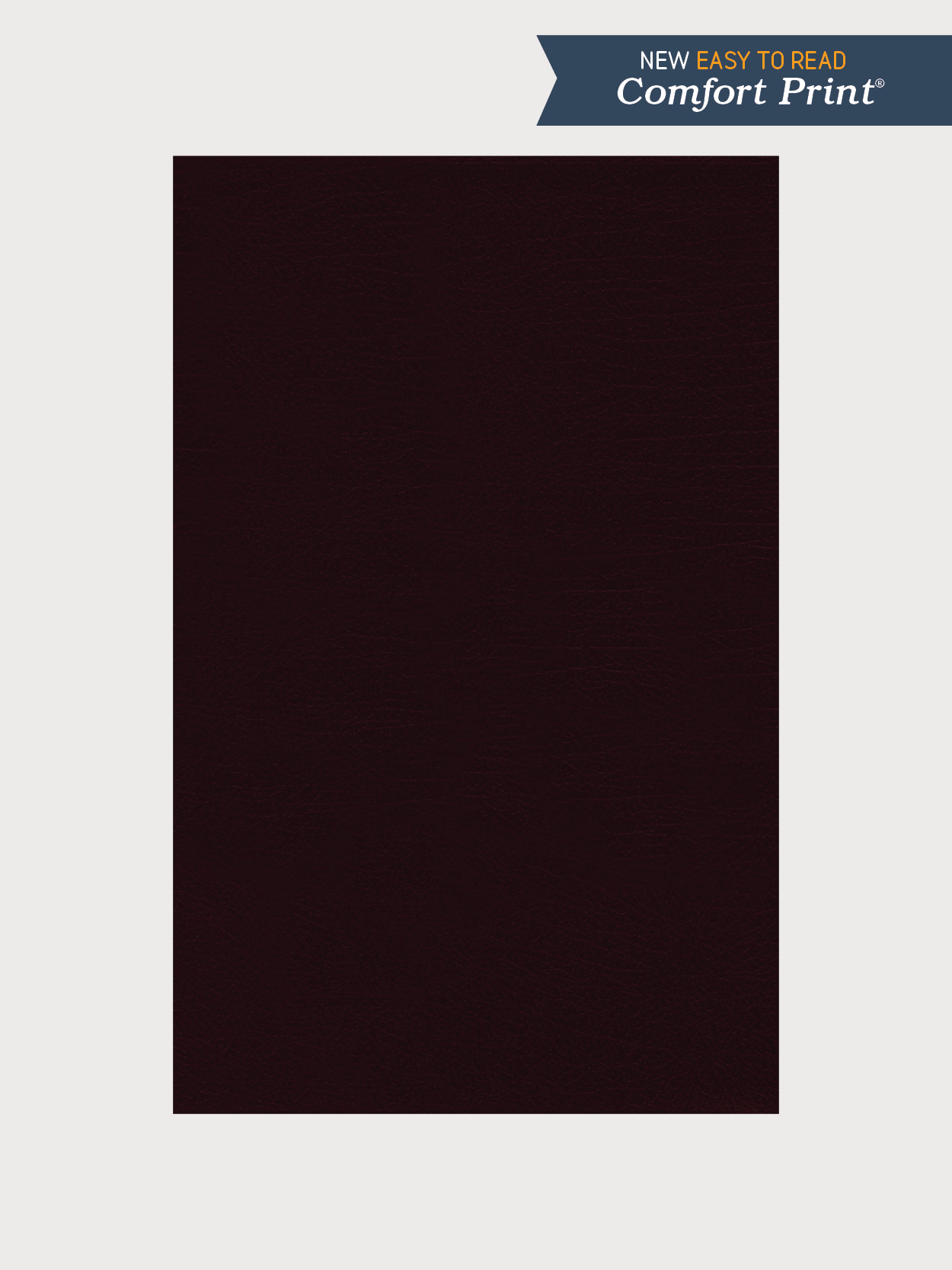 Burg-BL-NRSV-Thinline