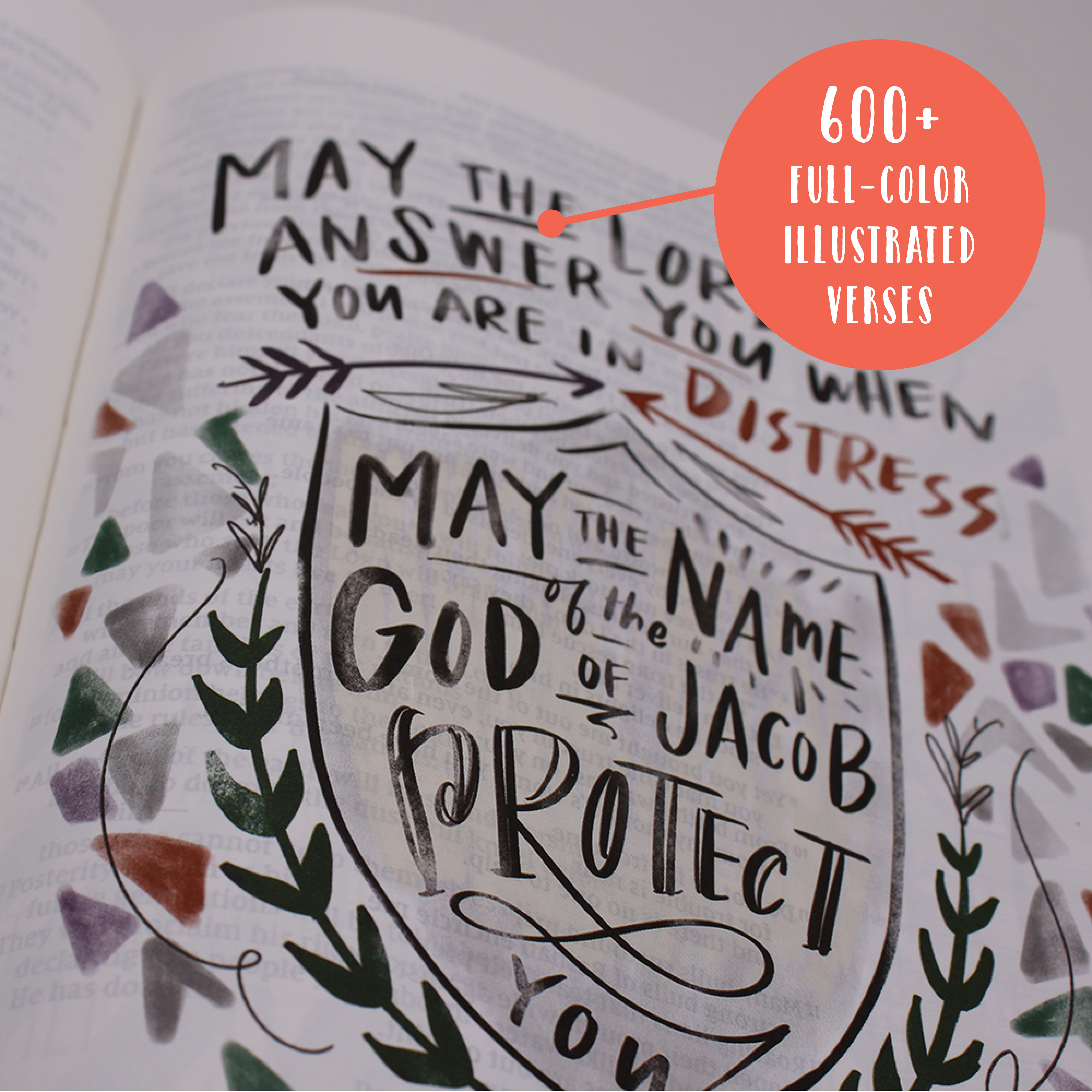 600+ Full Colored Illustrated Verses