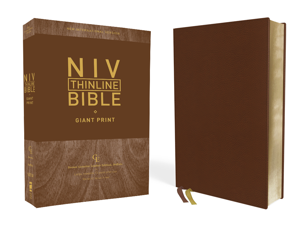 NIV-Thinline-GP-Genuine