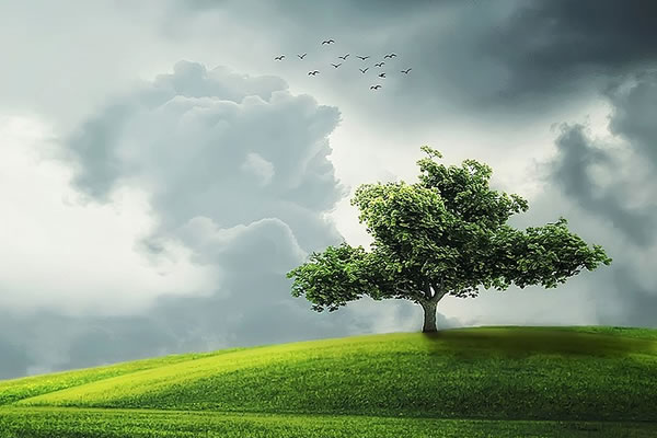 Our Deeply Rooted Faith Sustains Us