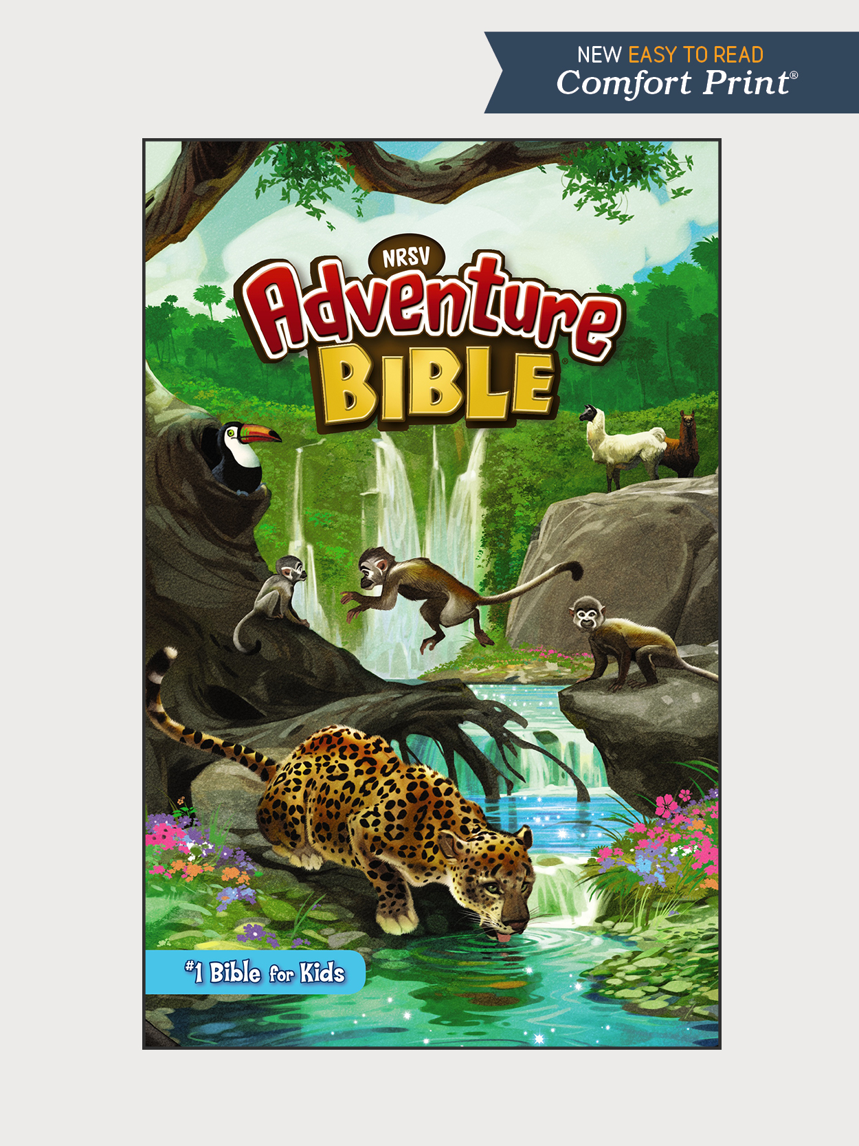 NRSV Adventure Bible