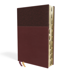 9780310456681_30_image