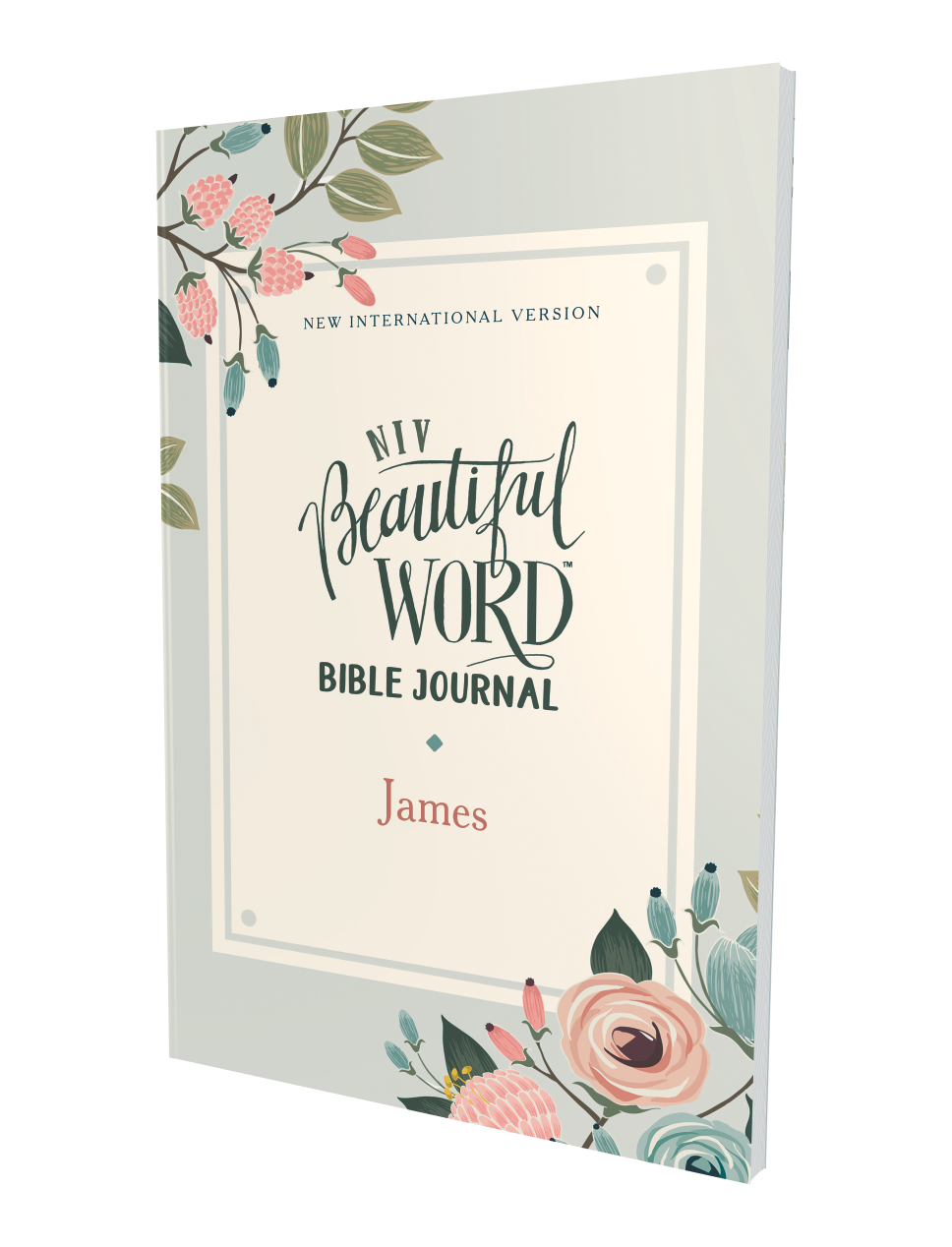 9780310454663_31_image