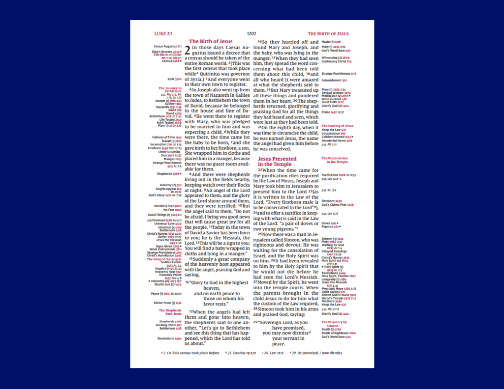 Four Column Clean Layout