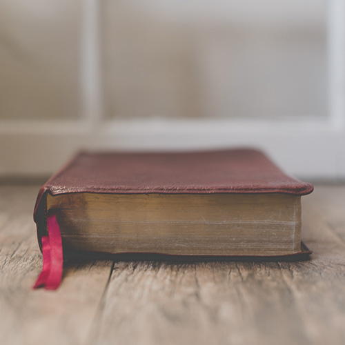 carolyn-v-AL48TflF4E8-unsplash