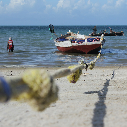 timon-studler-co_Pp16Z8W8-unsplash