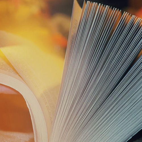 anastasia-zhenina-XOW1WqrWNKg-unsplash