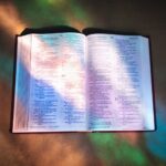 shane-hoving-SZaxKdLwz6o-unsplash