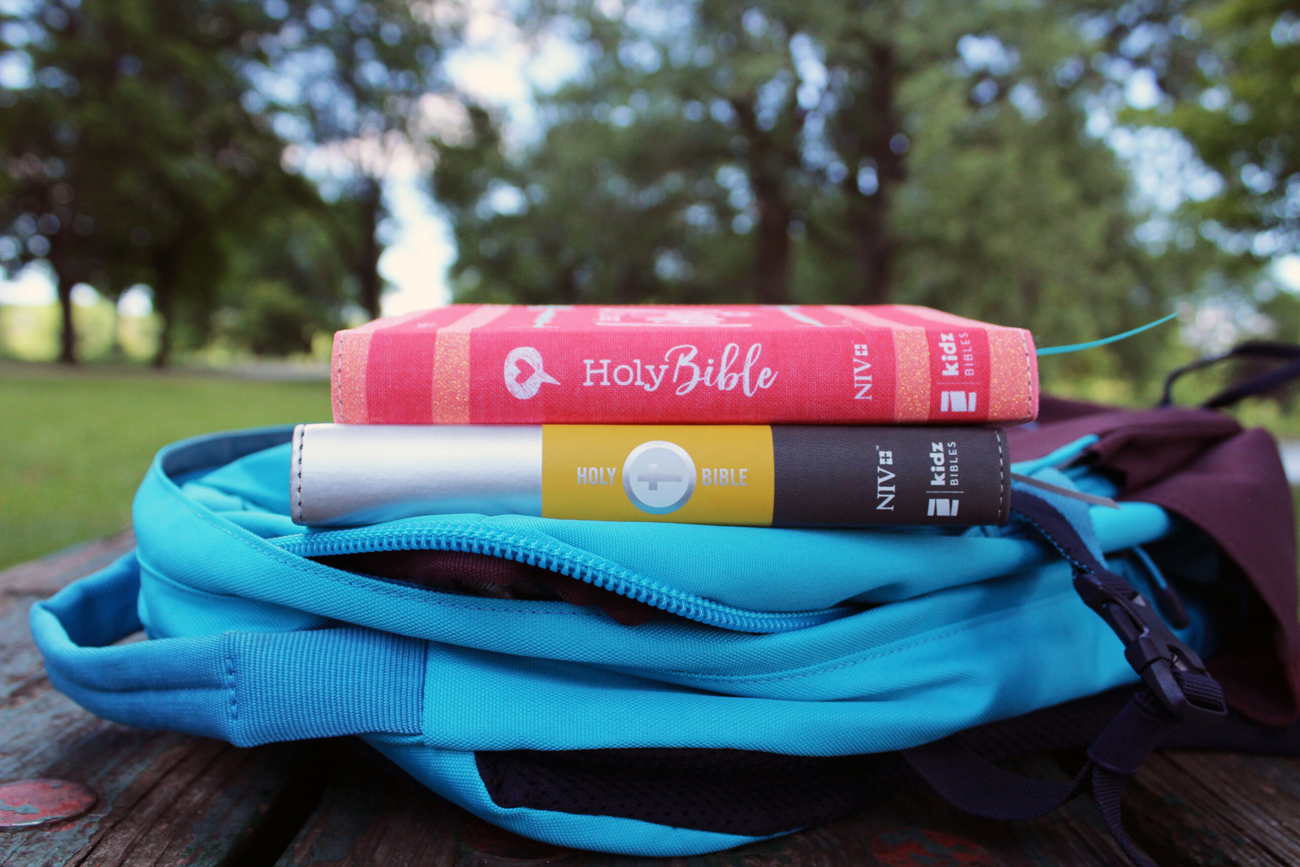 9780310455004.photo.variations.03